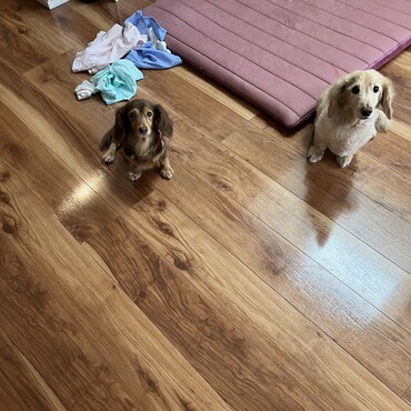 ラッキーくんと共に