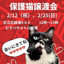 けだ・まも主催　譲渡会