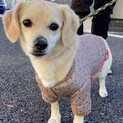 アクティブな里ちゃん