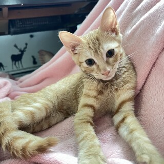 素敵なご家族と出会えました☆一茶