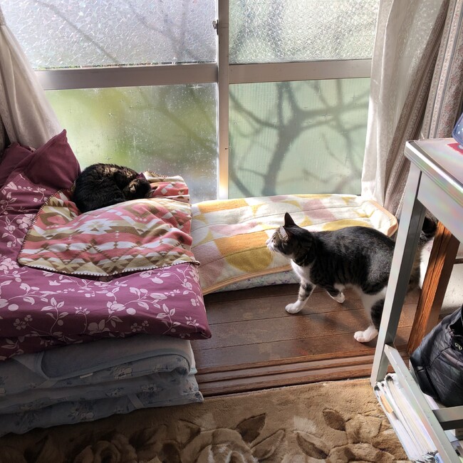 Yuki@ふーマイのカバー写真