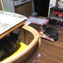 「2023年の大晦日」サムネイル2