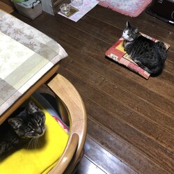 「2023年の大晦日」サムネイル3