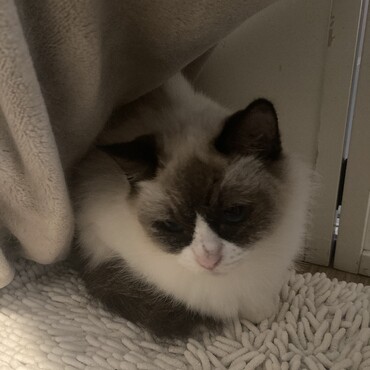 まだまだビビりです