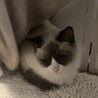 まだまだビビりです