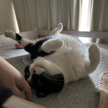の写真