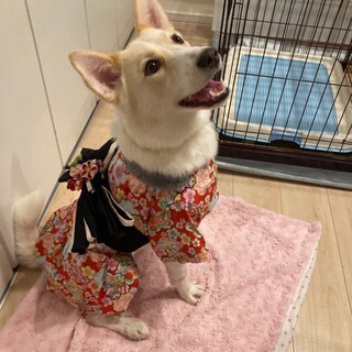 明るく負けない女の子！アムちゃん