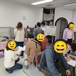 保護猫のお見合い会 サムネイル2