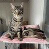 の写真