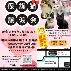 長崎ねこはぴ 保護猫譲渡会