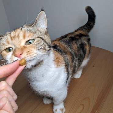 赤ちゃんみたいなお顔