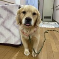大人しい5歳の女の子です