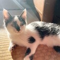 性格穏やかお坊ちゃん♡とと君