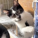 人馴れ抜群！とっても愛嬌のあるネネちゃん