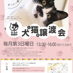 おーあみ避難所譲渡会in市が尾