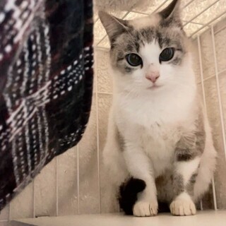 美人な顔立ち♡イヴちゃん