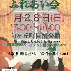 譲渡型　保護猫のふれ合い会