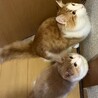 の写真