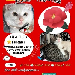 保護猫譲渡会☆神戸市西区北別府☆FuRaRi