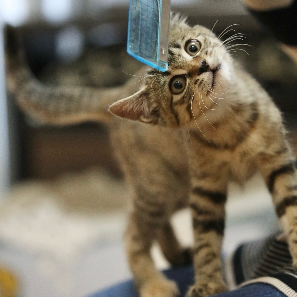 1/28高田馬場★美夢ちゃん★遊びもご飯も全力 サムネイル2