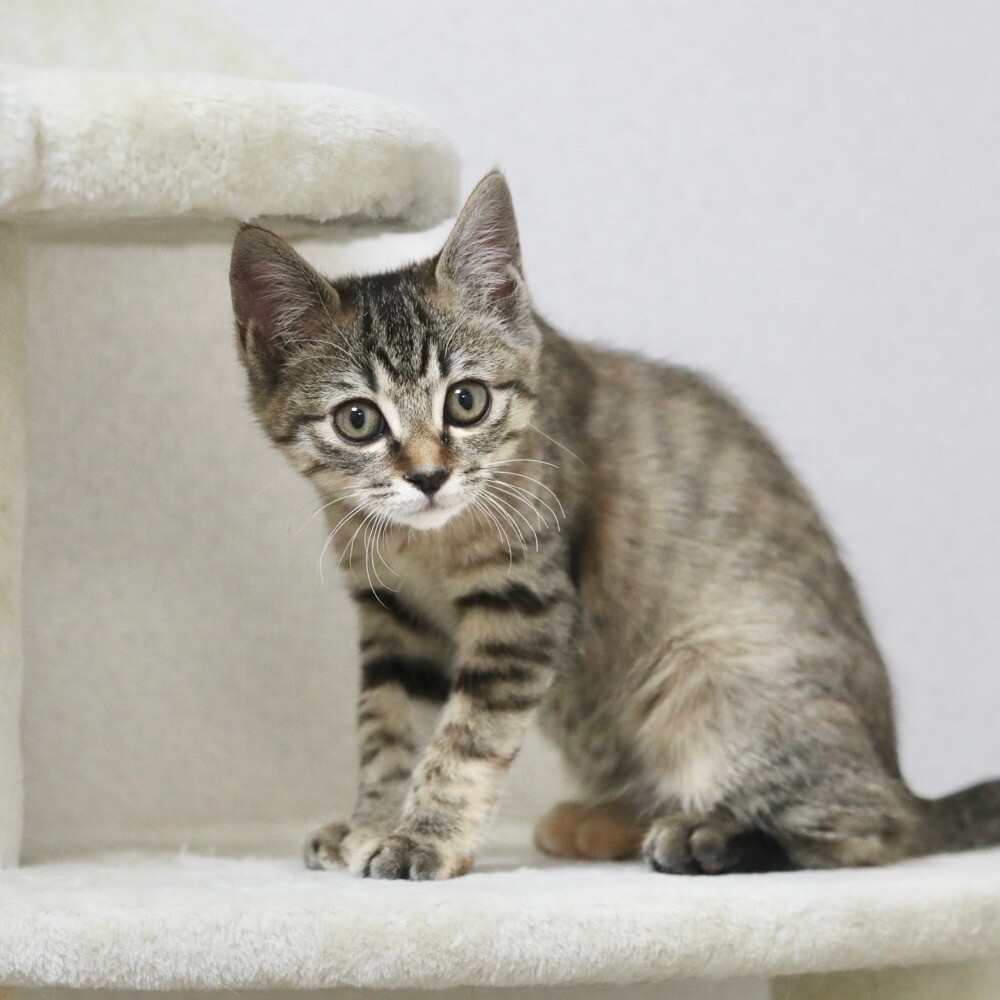 1/28高田馬場★美夢ちゃん★遊びもご飯も全力 サムネイル3