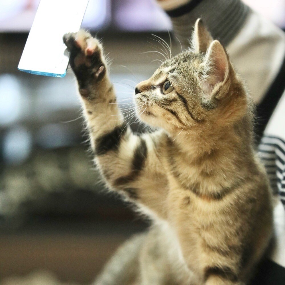1/28高田馬場★美夢ちゃん★遊びもご飯も全力 サムネイル4