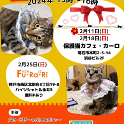 明石譲渡会☆第144回猫まみれwithカーロ