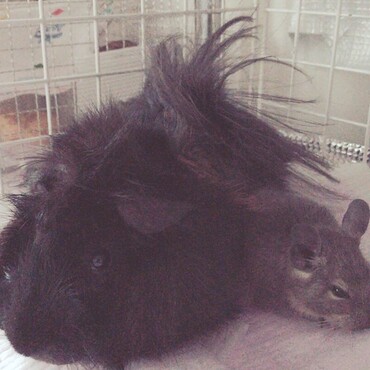 むっちゃ仲良し