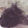 むっちゃ仲良し