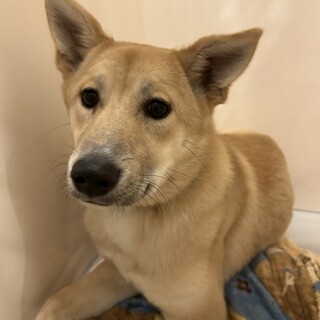 元気いっぱいで食欲旺盛な【ララ】くん★