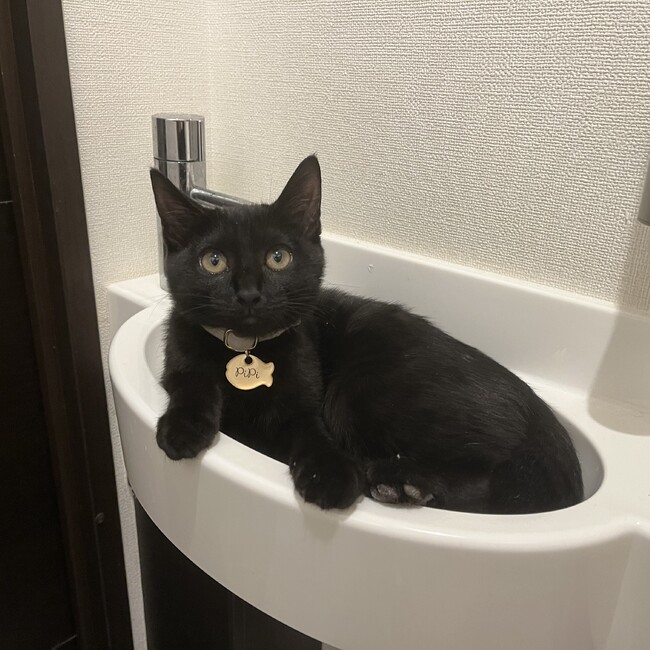 ちーちゃん︎︎︎︎☺︎のカバー写真