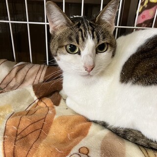 ありがとうございました★可愛らしい　小幸ちゃん