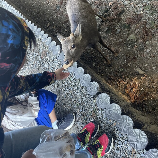 ちゃんぷ17のカバー写真