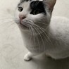 ちょぴ31