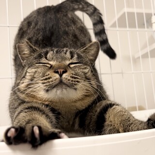 人が大好き♪甘えんぼうさん.*