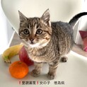 1/16保護、生後3ヶ月女の子
