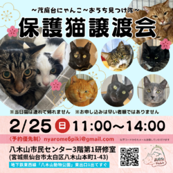 保護猫譲渡会（茂庭台にゃんこ主催）