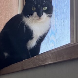 ご飯を探し求めて私宅へ来ました。