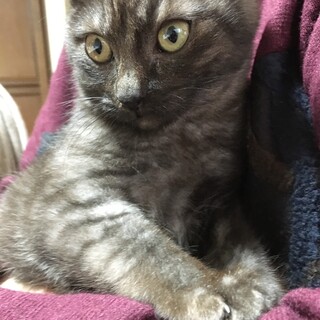 トライアル予定☆レイ君