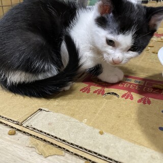 七三分けの男の子