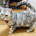 キュート女子。