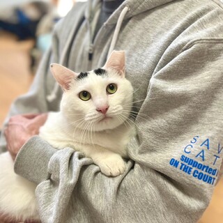 実は甘えた？！まろまゆくん！