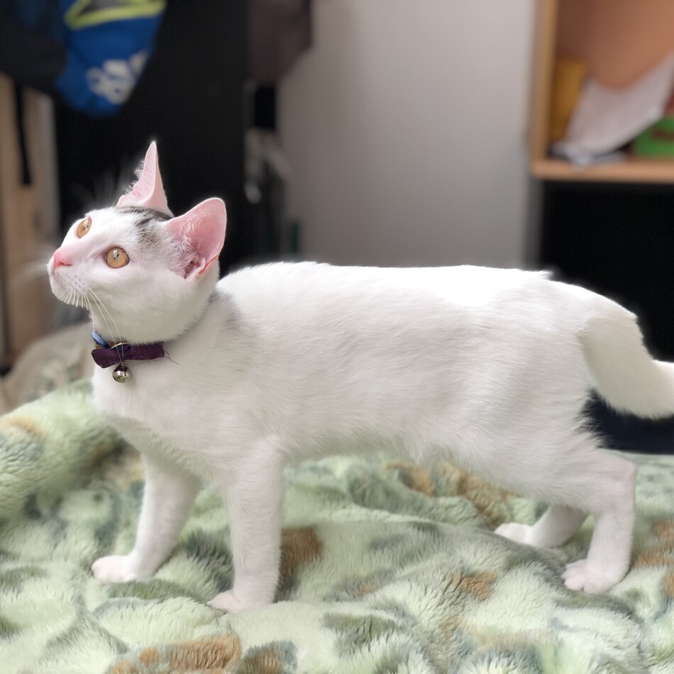 そなのカバー写真