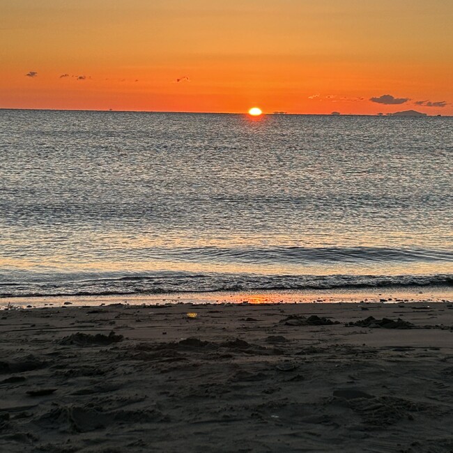 すずの華のカバー写真