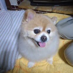 「近影」サムネイル2