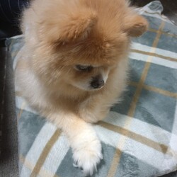 「近影」サムネイル3