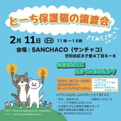 とーち保護猫の譲渡会@三軒茶屋