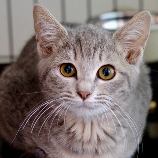 終日♡家族ができました