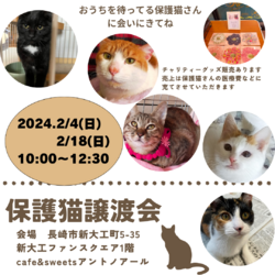 保護猫譲渡会