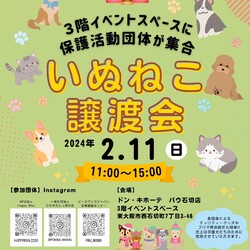 いぬねこ譲渡会